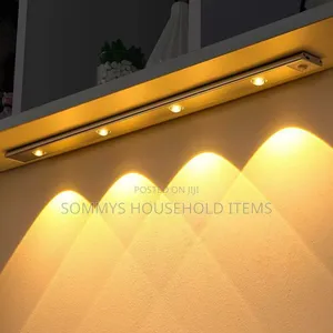 60cm Intelligent Sensor Light