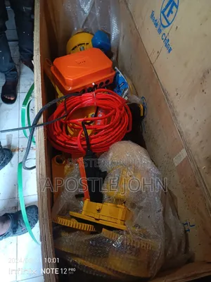 Electric Which Hoist