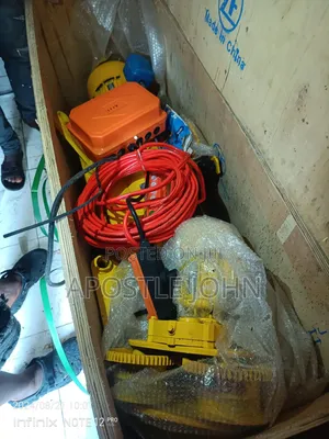 Electric Which Hoist