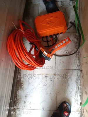 Electric Which Hoist