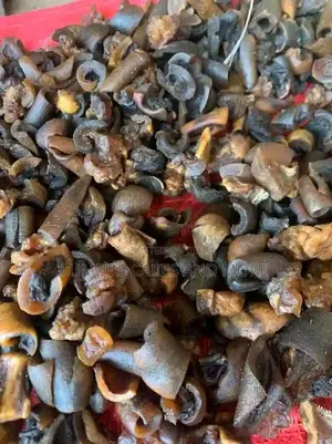 Dried Meat/Tinko and Ponmo Ijebu.