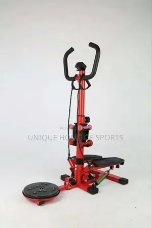 Standard Mini Stepper