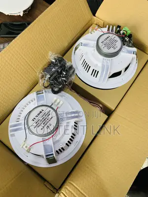 2in1 100watts Bluetooth Ceiling Speakers