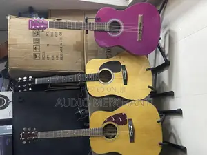 Fender Acoustic Guitars