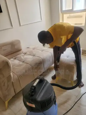 Need Professional Sofa and Rug Cleaners?