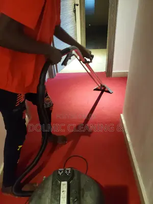 Best Advance Carpet and Rug Cleaners