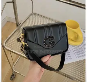 Quality Mini Handbags for Ladies