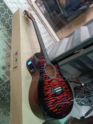 Semi Acoustic Guitar  
