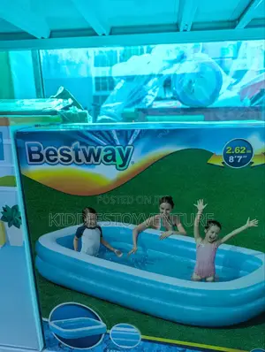 Best Way Swimming Pool 8.7ft