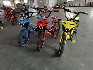 Bicycle Size 12