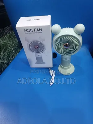 Hand Held Carton Fan