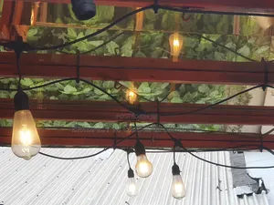 Led Filament Bulbs