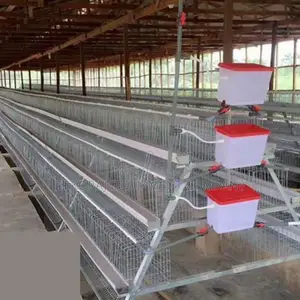 Premium 120-bird Capacity Layer Cage For Egg-laying Hens