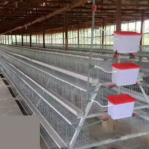 Top Performance 120-bird Layer Cage With Enhanced Durability