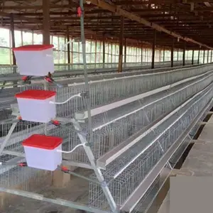 120-bird Capacity Layer Cage With Premium Construction