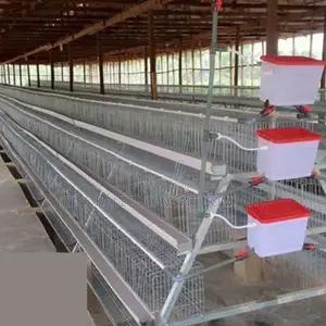 Secure Sturdy 120-bird Layer Cage For Commercial Use