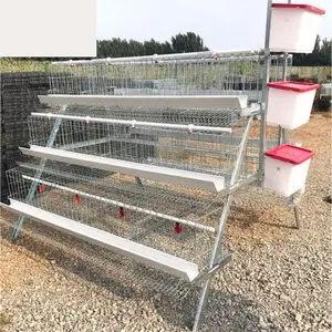 120-bird Layer Cage For Superior Egg Production Poultry Ca