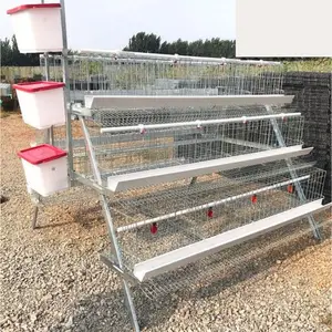 Best Value 120-bird Capacity Layer Cage For Sale