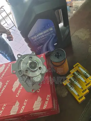 Chevrolet Aveo Engine Water Pump 2009-2011