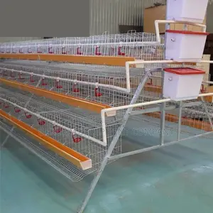 120-bird Layer Cage With Superior Durability Easy Maintena