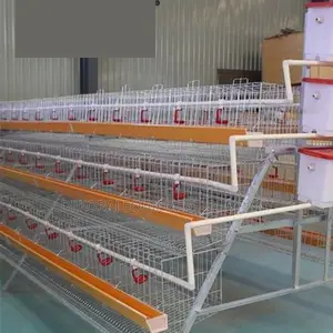 128-bird Layer Cage For Reliable Long-term Poultry Managem