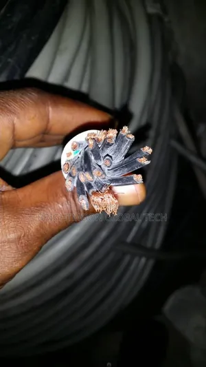 2.5mm 25core Heat Resistant Flexible Wire