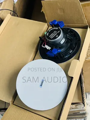 Dart 2 in 1 Bluetooth Ceiling Speaker