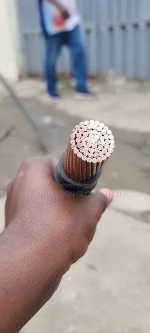 500mm Nigeria PVC PVC Copper Armoured Cable