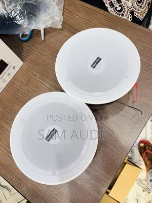 Surpass 2 in 1 Bluetooth Ceiling Speaker With Remote