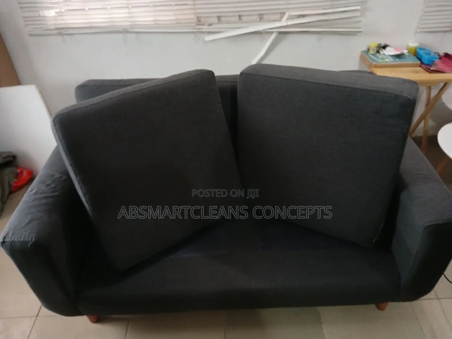 Couch Cleaning Services