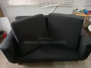Couch Cleaning Services