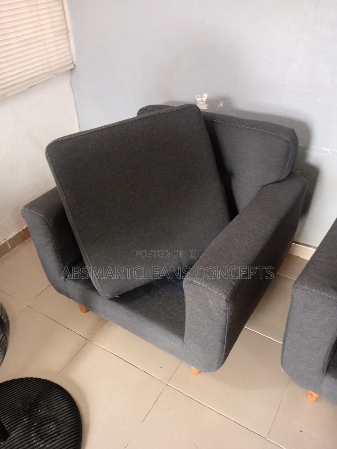 Couch Cleaning Services