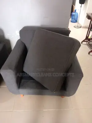 Couch Cleaning Services