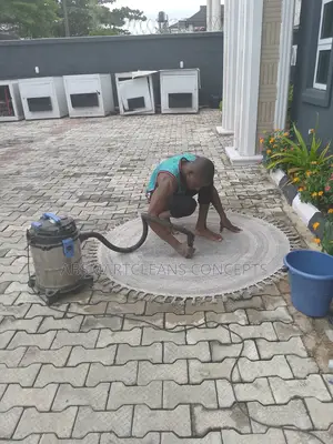 Rug Carpet Cleaning Services