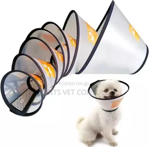 Adjustable Protective Recovery Elizabethan Collar