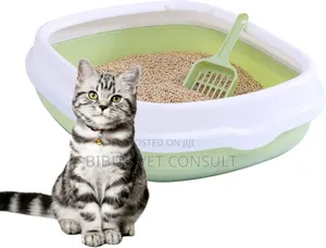 Low Border Cat Litter Box