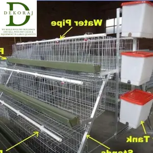 96 Imported Broiler Cages With Automatic Drinkers