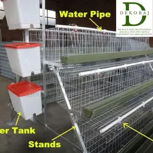 120birds Layers Cage 25yrs Warranty, Increase Roi By 40%