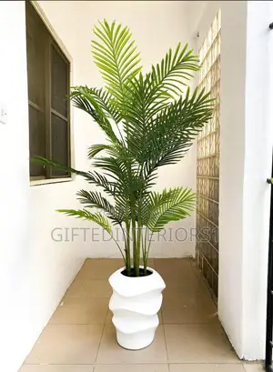 Medium Case With Plant