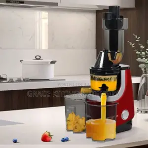 Avinas Cold Pressed Slow Juicer and Sorbets for Iced Fruity
