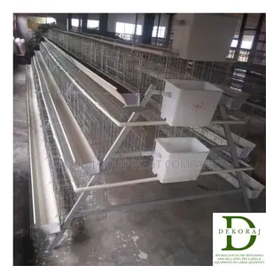 120 Birds Imported Chicken Cage We Sell Gas Brooder