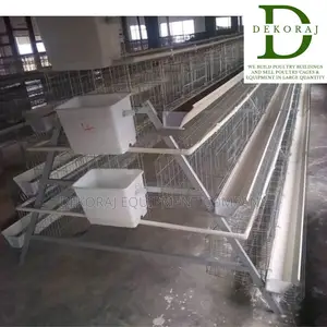 96 Imported Chicken Cages For Egg Production With Feeder