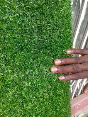 Carpet Grass Home