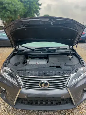 Lexus RX 2012 Gray