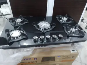 Efficient Polystar Built in Gas Hub Cooker 