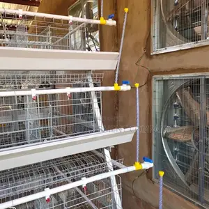 160 Birds Imported Poultry Cage ,Chicken Feeder,Bell Drinker