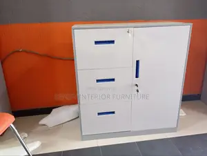Metal Cabinet With Drawers and Cupboard