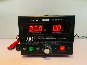 Suoer Battery Charger 30a