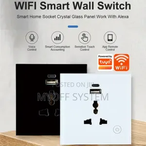 Smart Wifi Socket With Type C Usb