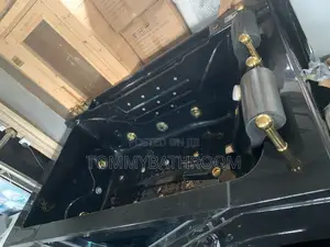 Big Double Jacuzzi With Gold Body Jet